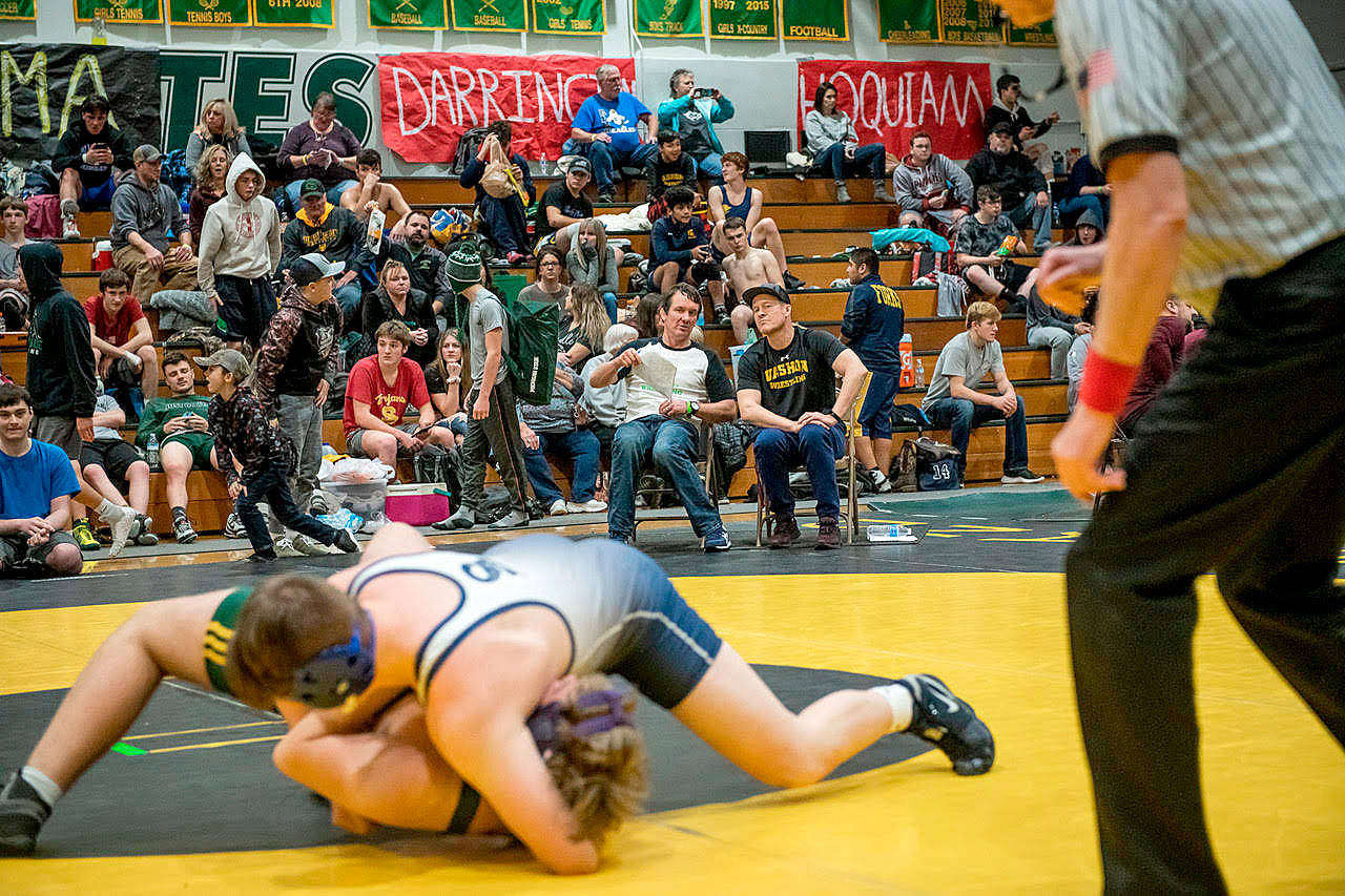 Anders (wearing ball cap) and Per-Lars Blomgren watch a wrestling match during the Rock Wrestling Tournament at Vashon Island High School on Saturday, Dec. 28 (Sarah Bunch Photo)