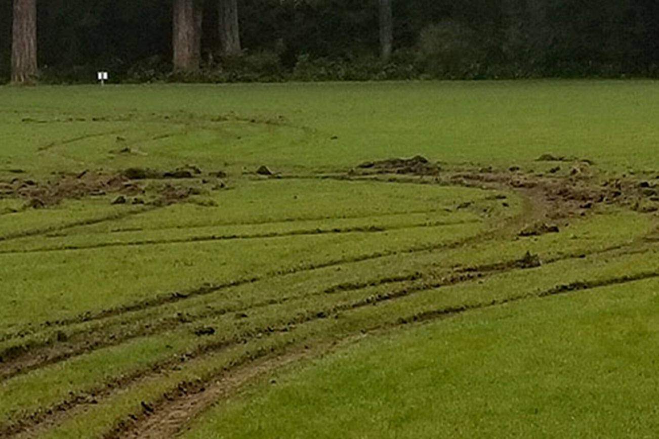 Agren field wrecked by vandalism