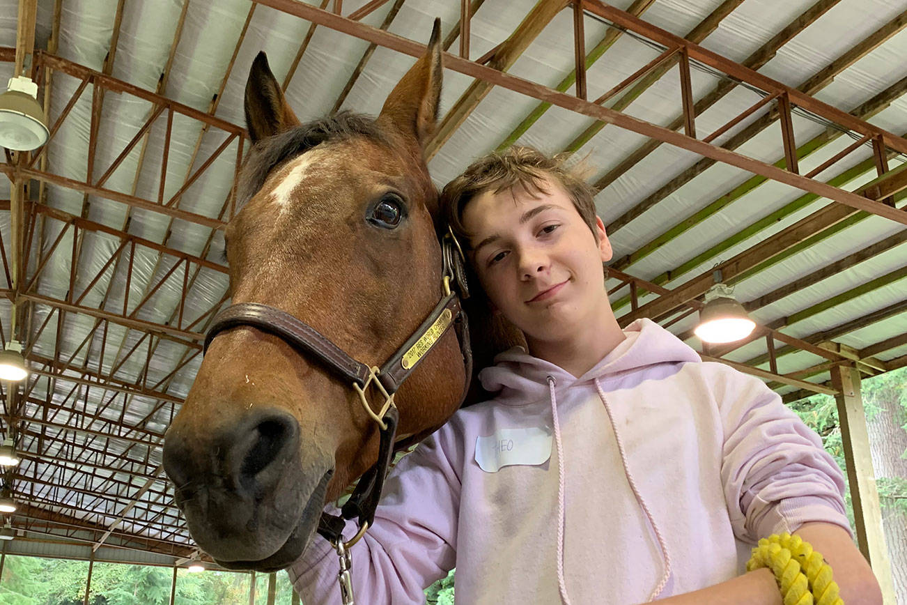 Equine workshops inspire students’ best selves