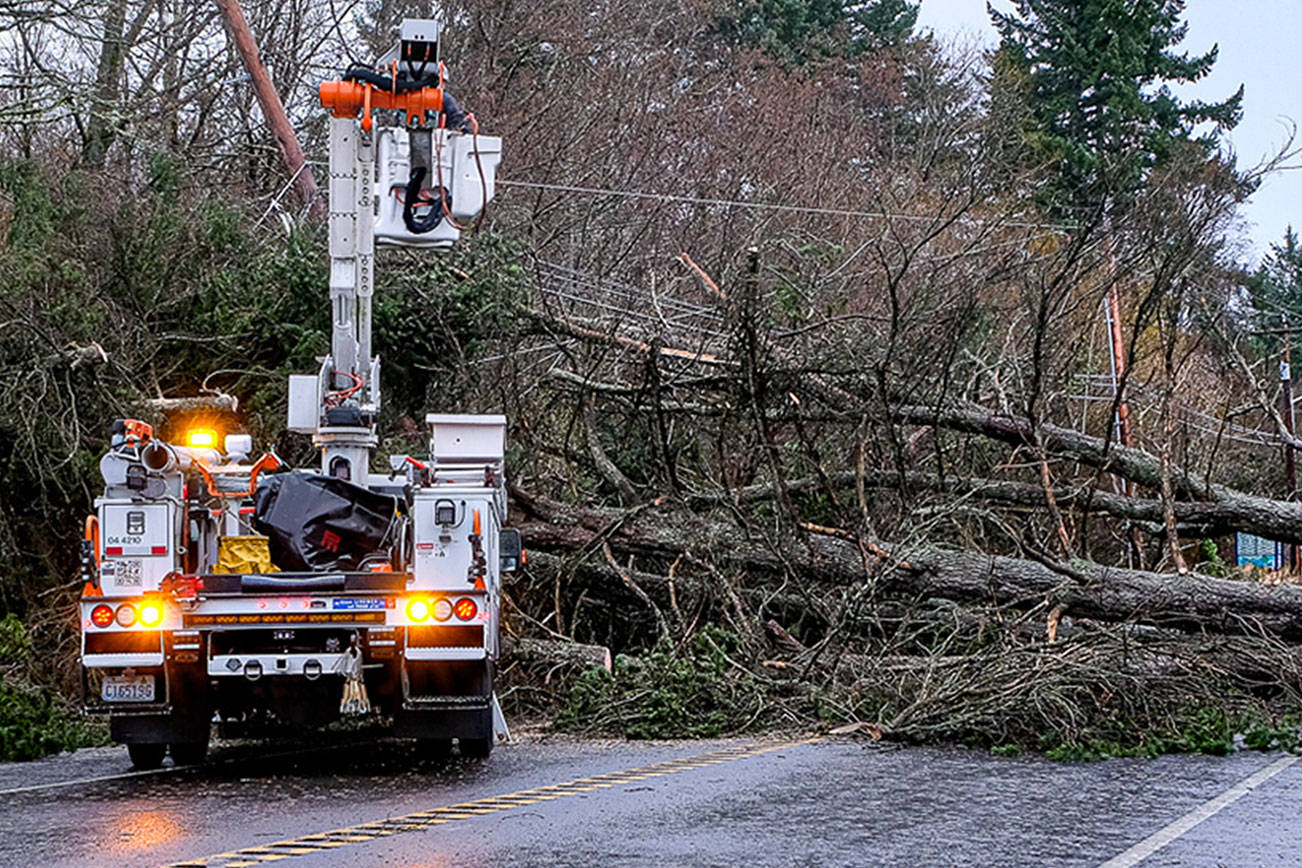 Wind storm knocks out power, downs trees