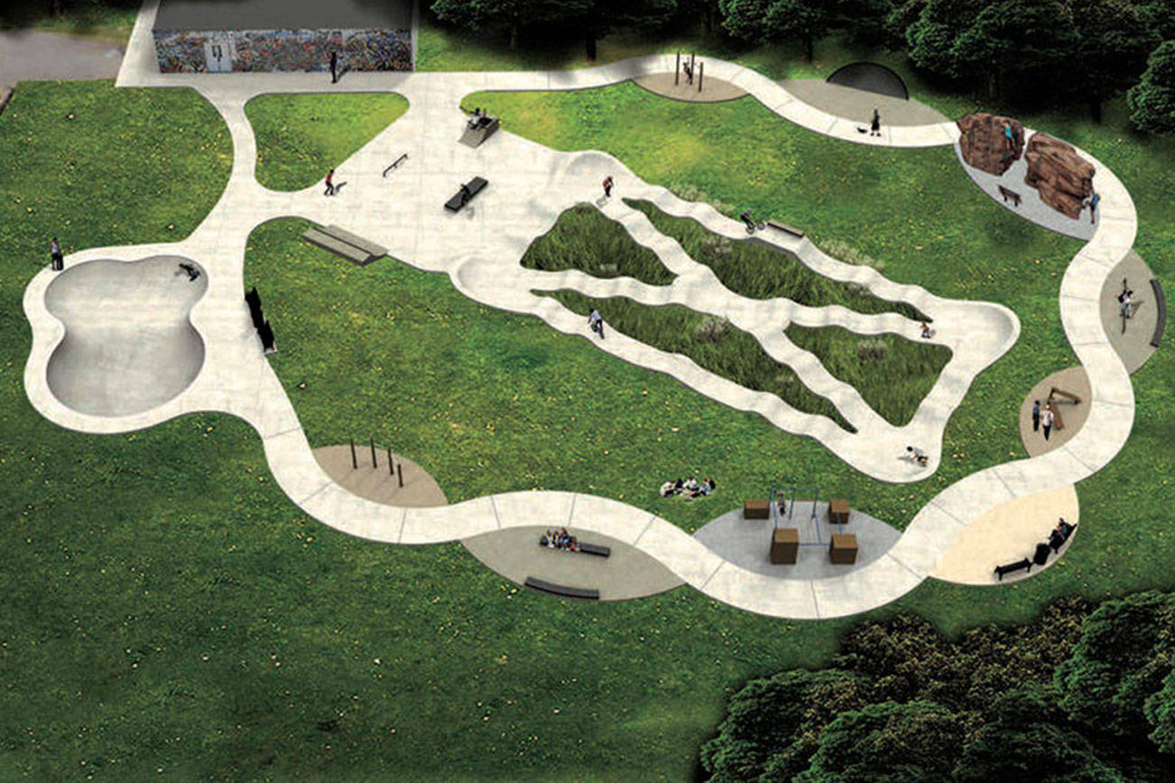 Progress on skate park project curbed