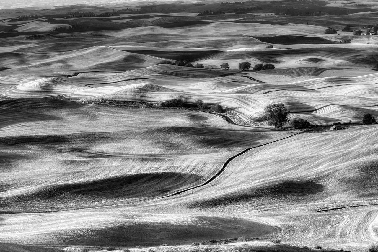 Michael Elenko’s photograph, “West, Steptoe Butte” was chosen for a national juried show at the Midwest Center for Photography (Michael Elenko Photography).