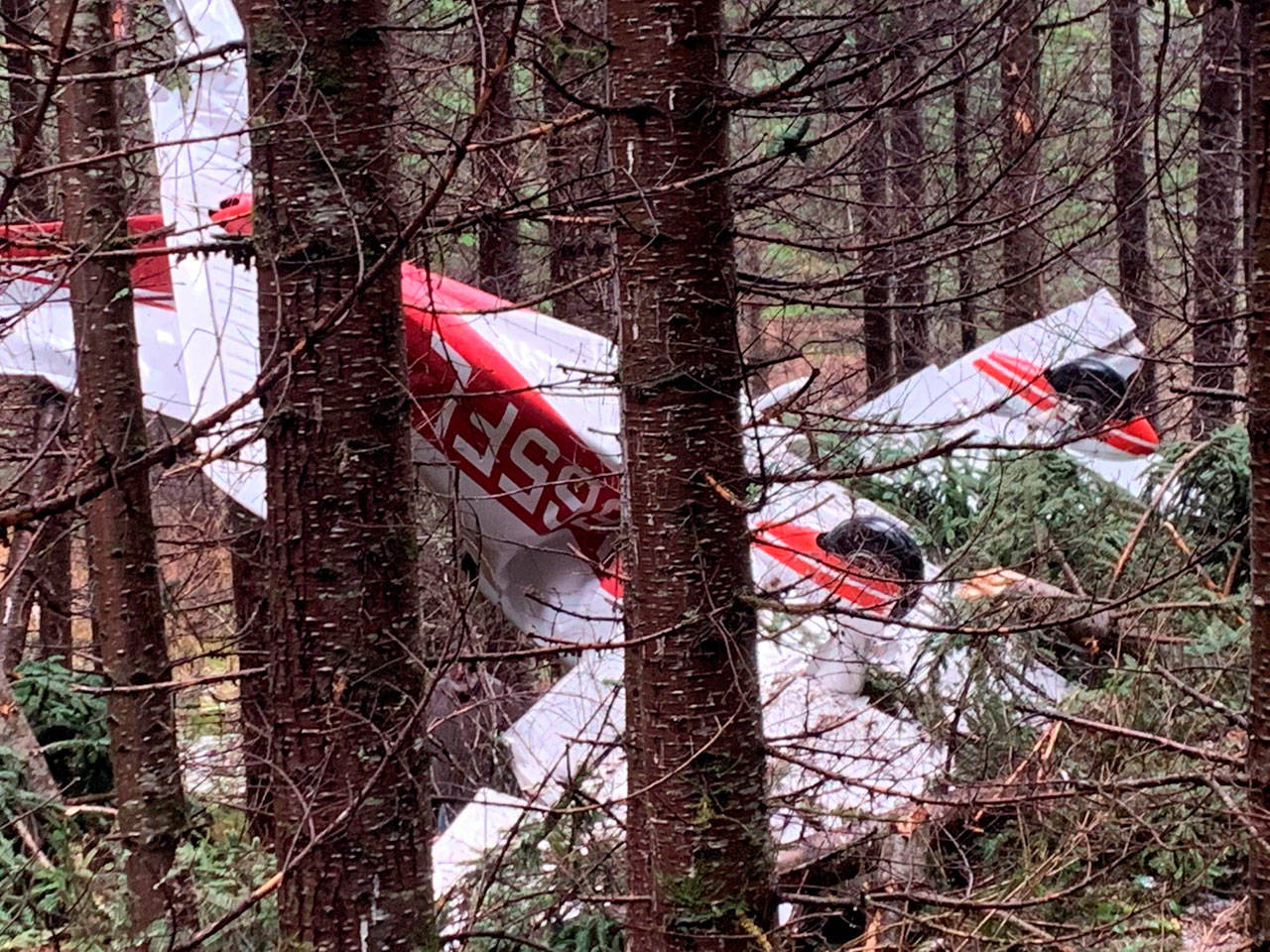 By flying through treetops, pilot Truman O’Brien slowed the small plane so that it finally impacted upside down on soft, wet ground (Craig Beles Photo).