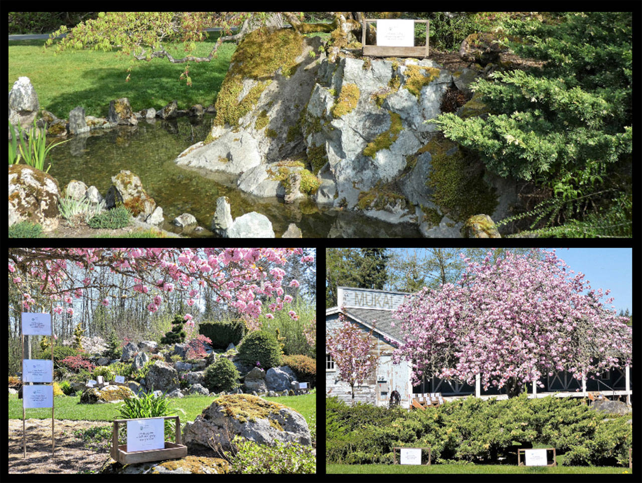 Mukai Farm & Garden’s beautifully landscaped grounds are now bursting with blooms and greenery, as well as a display of one of the most simple and beautiful of all poetry forms — Haiku (Jim Diers Photos).