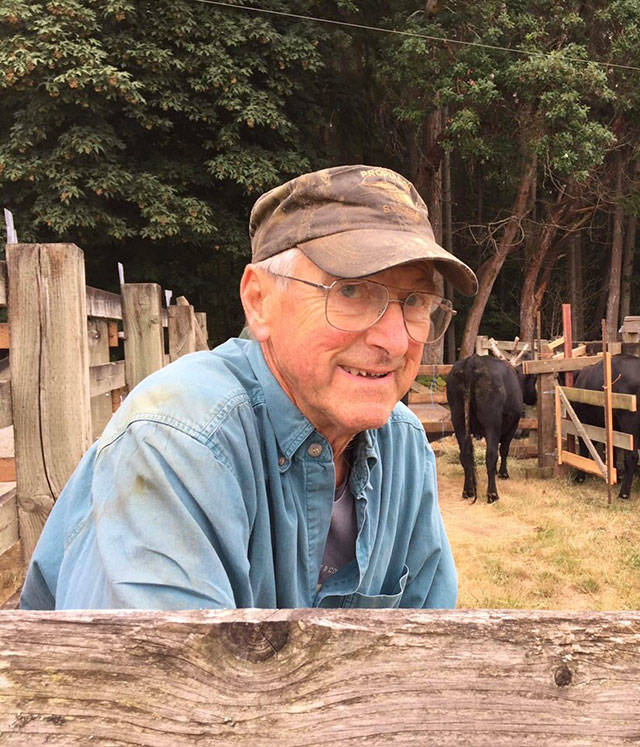 George Singer, whose family moved to Vashon in 1946, still raises cattle and keeps horses on his family’s property, on a street that still bears his own last name (Sarah George Photo).