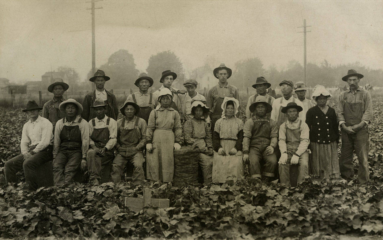 Vashon strawberry pickers are shown in this Feb 14, 1915, Ouchi family photo (Photo Courtesy Densho Archive).