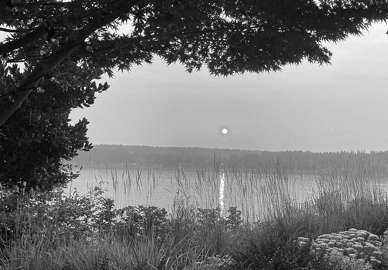 Cathy Sarkowsky Photo