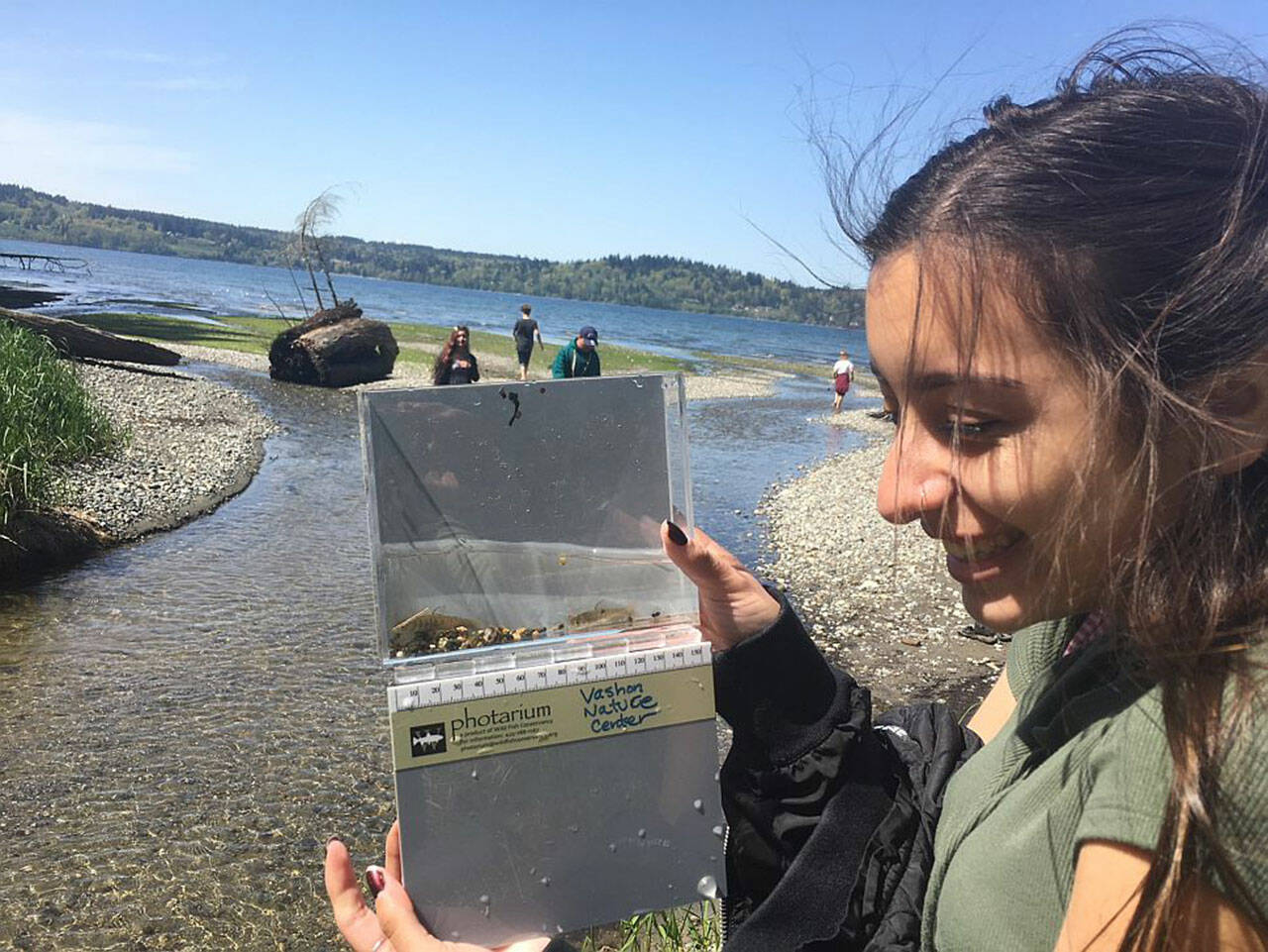 (Courtesy Photo) Adriana Becerra (’20) researched juvenile salmonid populations in Shinglemill Creek as part of a previous Vashon Nature Center’s hands-on science program.