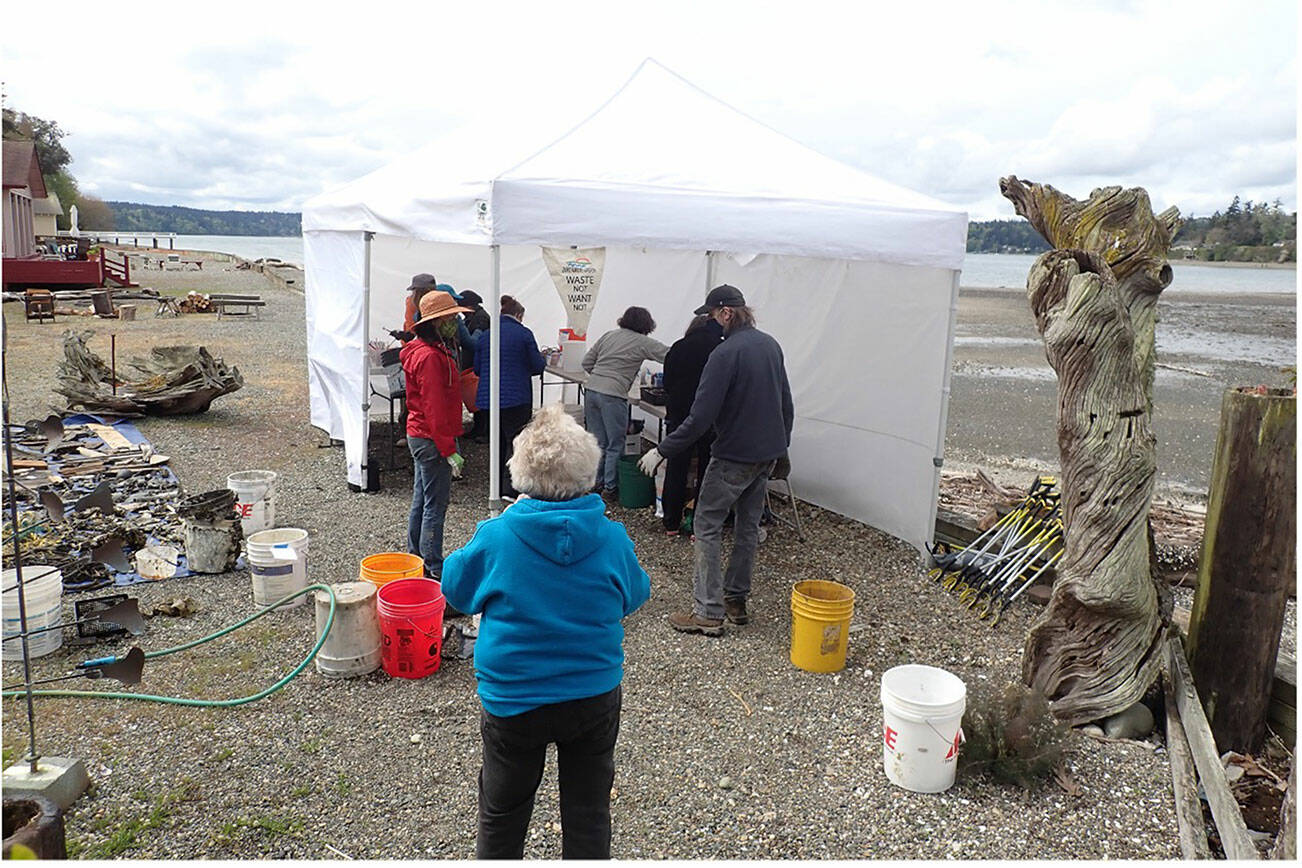 Courtesy Photo
Vashon volunteers added to the contents of an ETAP (Escaped Trash Assessment Protocol) collection tent, during a beach cleanup in the spring at the north end of Quartermaster Harbor near Portage.
