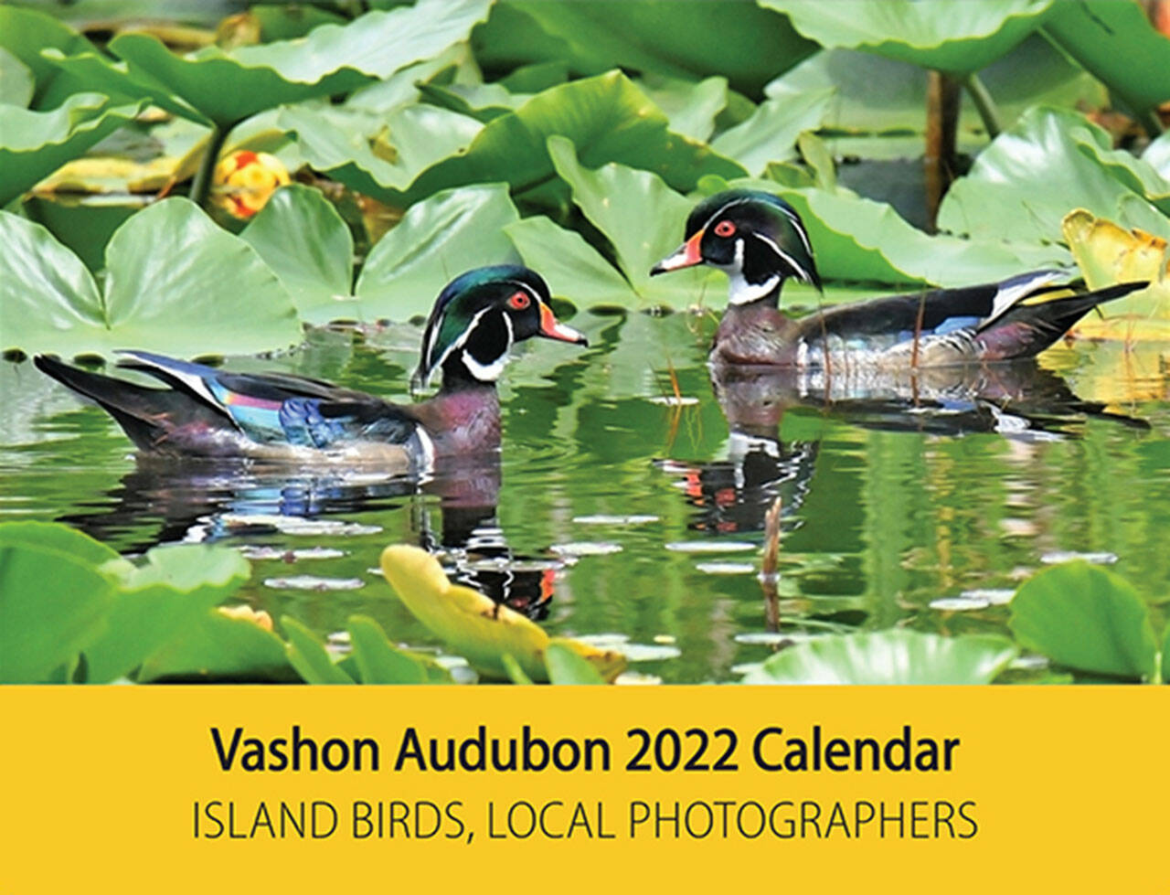 (Jim Diers Photo) Islander Jim Diers took the cover photograph for Vashon Audubon’s 2022 calendar, now on sale.