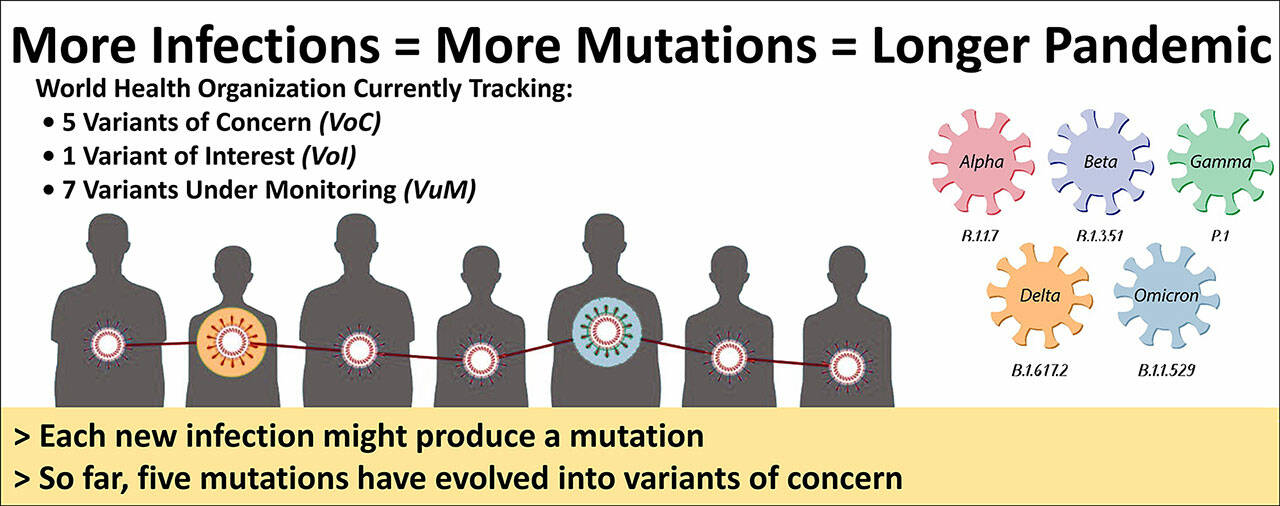 (Illustration by Vashon EOC, with variant data by the World Health Organization)	The World Health Organization (WHO) tracks COVID variants that have appeared since the pandemic began two years ago. There have been dozens of them. Each person who becomes infected has the potential to produce a new mutation. So, containing the spread of COVID will reduce the number of mutations. That matters because each mutation has the potential to evolve into a new threat and that could keep the pandemic going even longer. WHO posts its variant tracking at bit.ly/WHO-Variants.