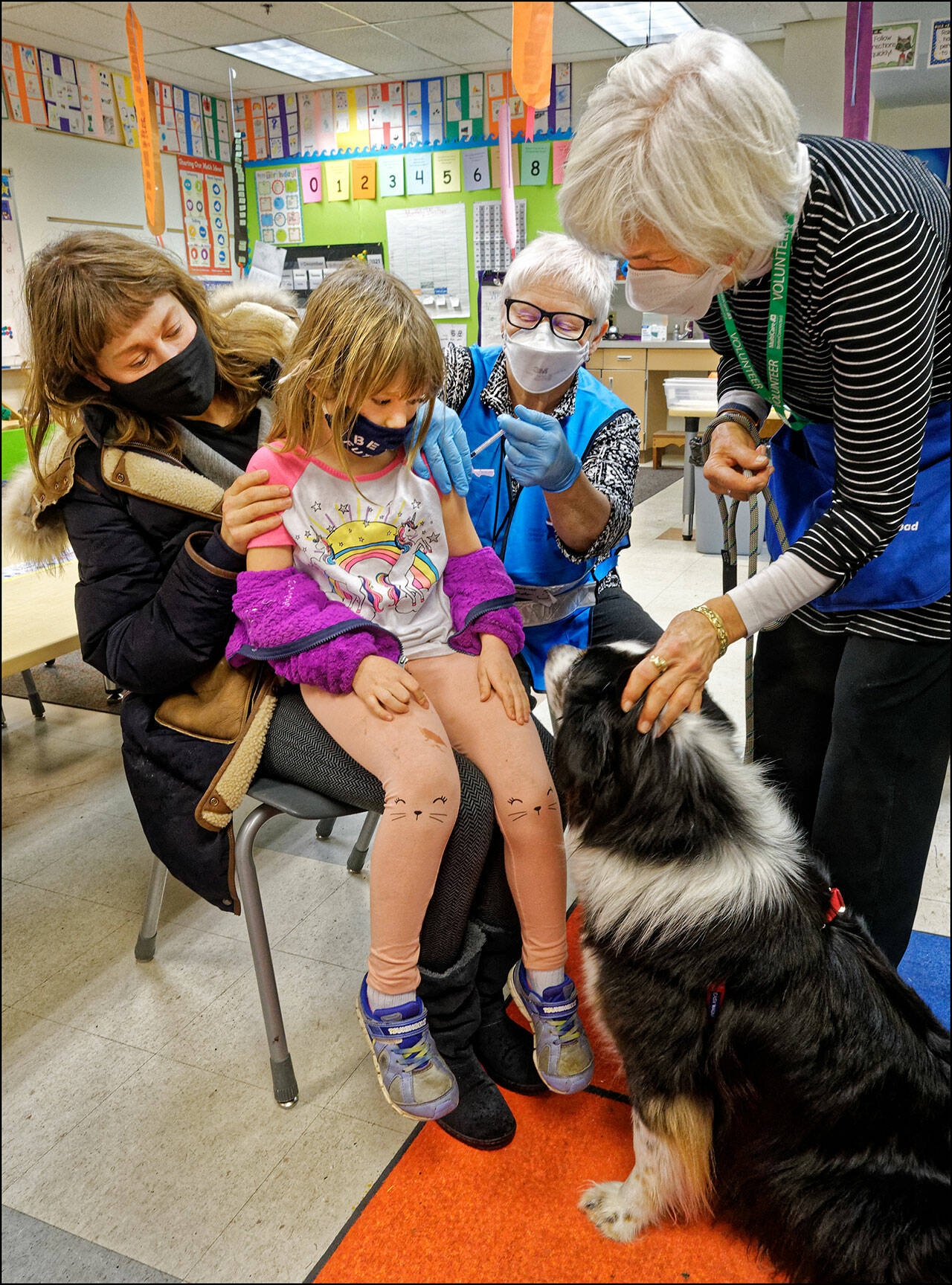 (Rick Wallace Photo) It seemed like Chia the dog and her handler, Molly Purrington (right), knew what Pippa Stendahl (left) needed — a little eye contact as she sat on her mom’s (Sophia Stendahl) lap. Pippa and Chia locked gazes, and from there, it was a smooth operation as Medical Reserve Corps volunteer nurse Lorraine Chambers (center) sensed the relaxed moment and completed the injection.
