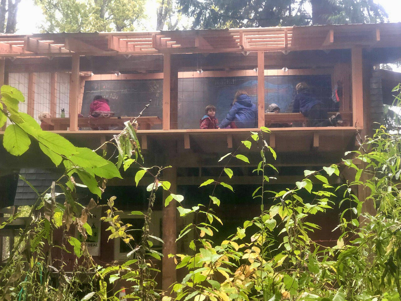 (Dana Schuerholz Photo) “The Lookout” was built in the summer of 2020 to provide a covered open air classroom for students at Vashon Green School in order to have a fully in-person school year at Seedbees Farm, and features an 8 x 12 blackboard . It continues to be Vashon Green School’s main covered space for the <tcxspan tcxhref="20212022" title="Call 2021-2022 via 3CX">2021-2022</tcxspan> school year as well.