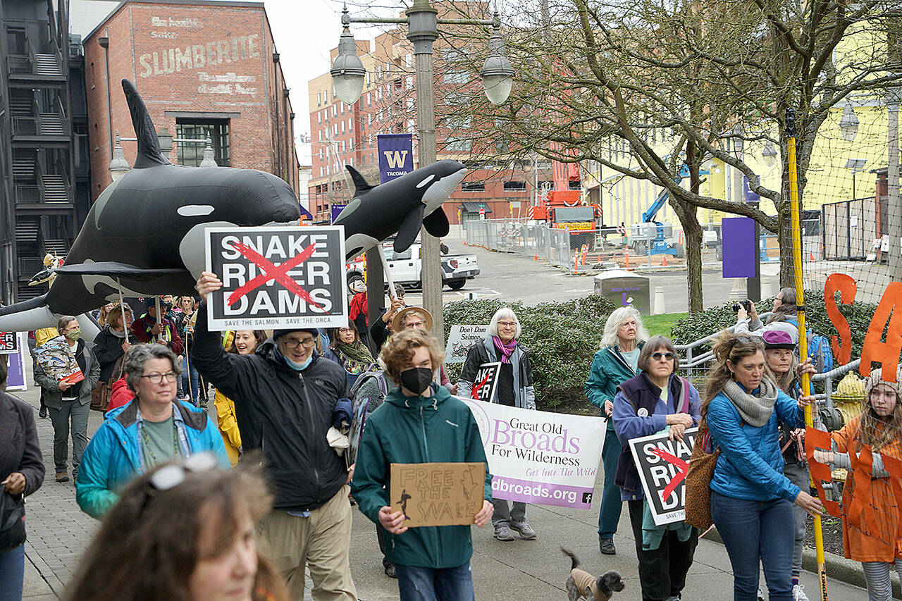 (Pam Clough Photo) Among the more than one dozen sponsors of Saturday’s rally were Vashon’s Backbone Campaign, as well as the Save Our wild Salmon (SOS) Coalition, a regional advocacy organization led by islander Joseph Bogaard.