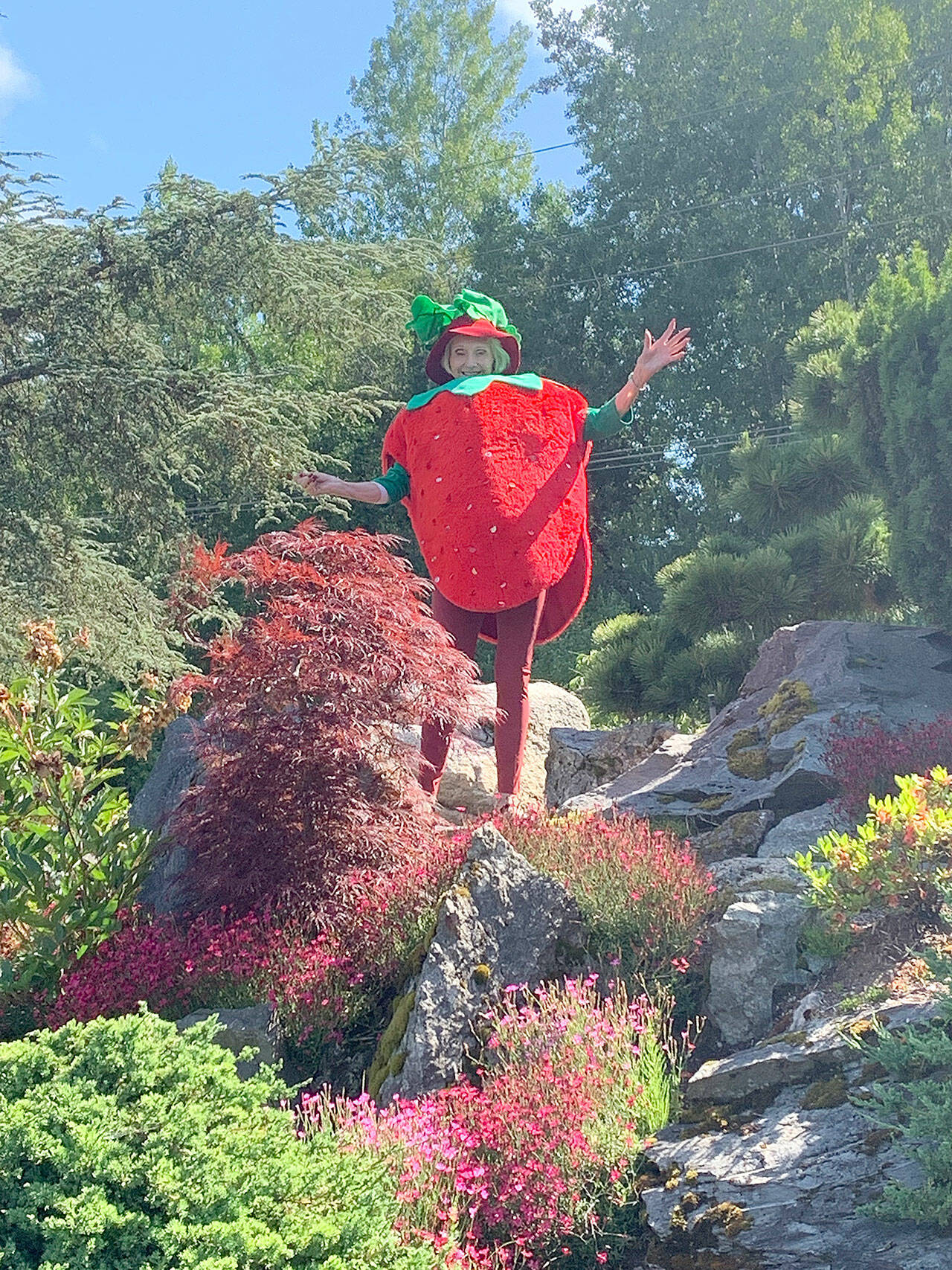 (Courtesy Photo) Board Member and past Mukai Farm & Garden president, Kay Longhi, embodied the character of Mukai’s Marshall Strawberry at the 2021 Strawberry Festival. This year, another board member will take on the role, serving as Grand Marshal of the festival parade.