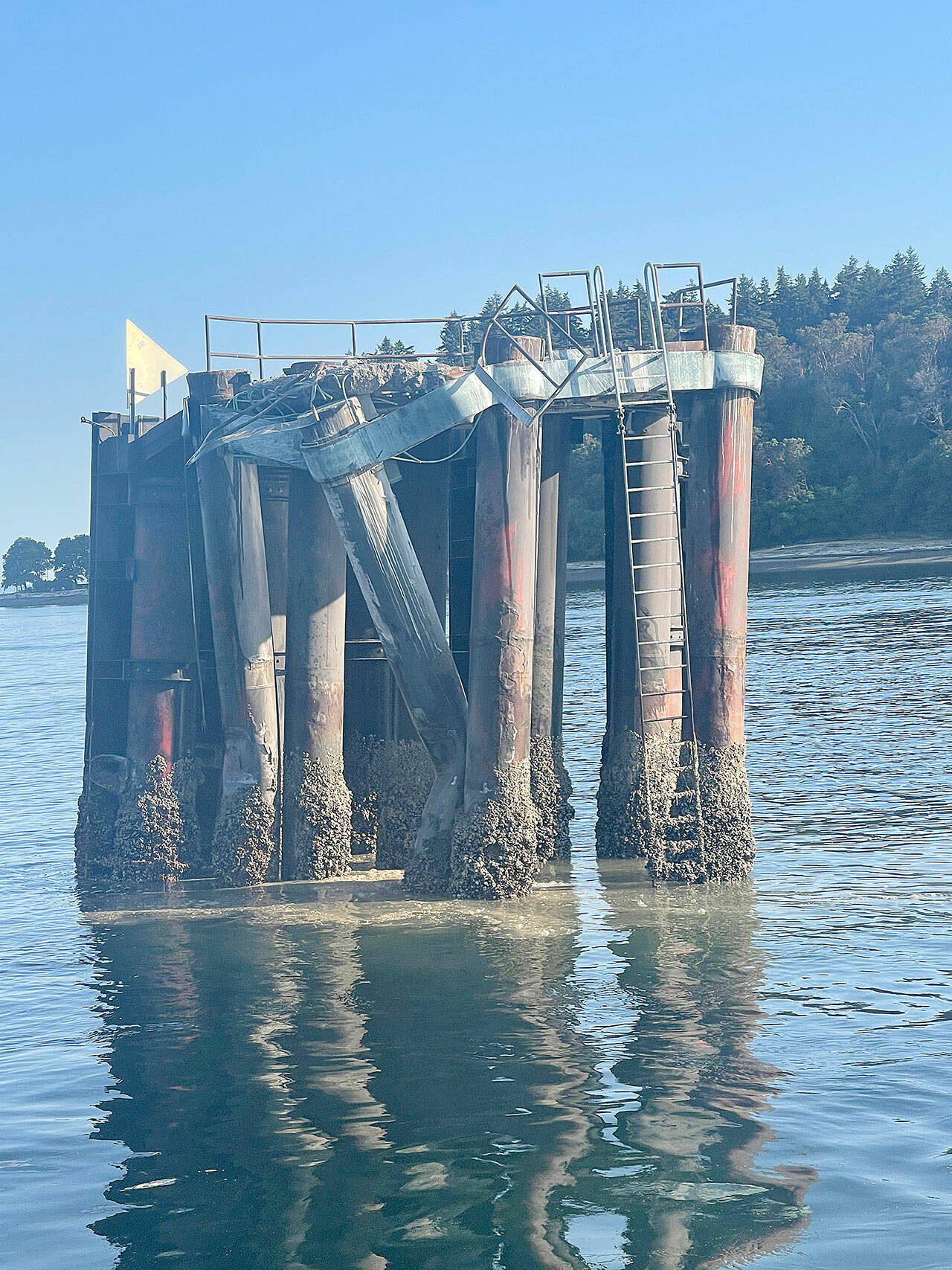 Pam Kirkpatrick Photo
The Cathlamet crashed into these protective pilings, known as a dolphin, as it missed its approach to the Fauntleroy Ferry Terminal.