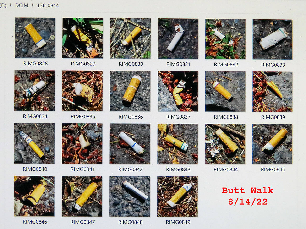 A composite photo shows cigarette butts found in one walk along a stretch of Vashon Highway. Since February, Peter Ray has compiled 25 such composites. (Peter Ray Photograph)