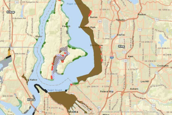On this online map, which is updated daily, brown areas indicate where shellfish harvesting was closed due to pollution as of March 4. Green lines on shorelines indicate approved water quality (Screenshot from Washington Shellfish Safety Map).