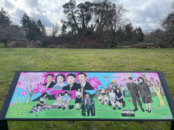 New interpretative signage, designed by Vashon High School alumna Chatal Uto to honor Japanese students exiled from the island in 1942, will be officially unveiled on the grounds of Vashon High School on March 26 (Peter Woodbrook Photo).