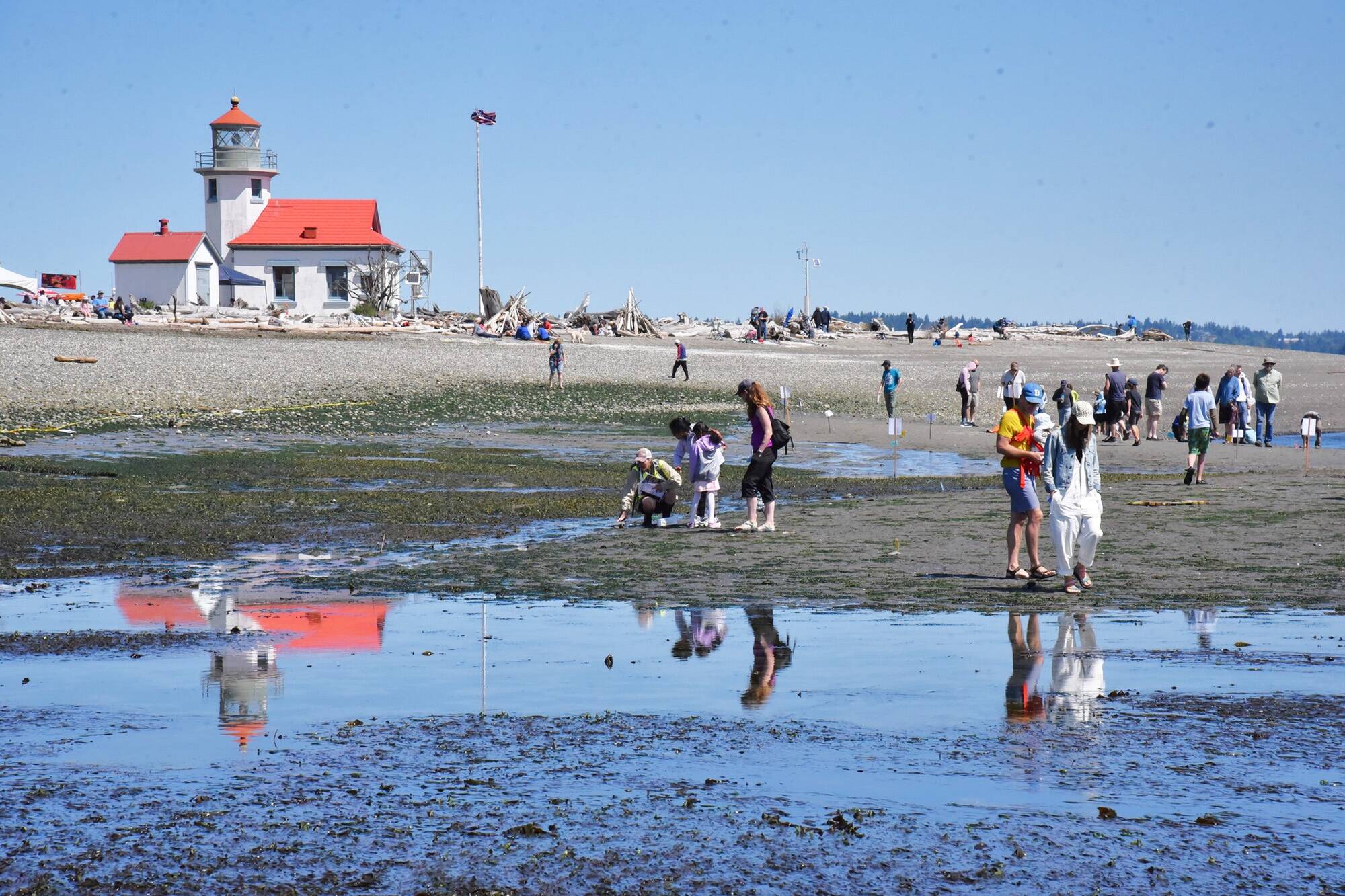Islanders flock to find a world of wonder at low tide VashonMaury