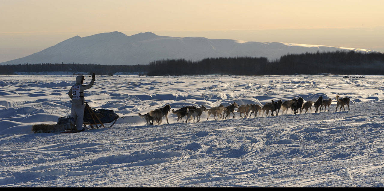 Matthew Failor drives his dog team down the Susitna River during the Restart of the Iditarod Trail Sled Dog Race on Sunday, March 4, 2018. (Bill Roth / ADN)
