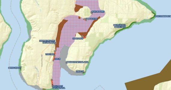 This map from the state Department of Health shows the area in Quartermaster Harbor (the red criss-cross grid) in which shellfish harvesting is temporarily closed due to high levels of paralytic shellfish poison.