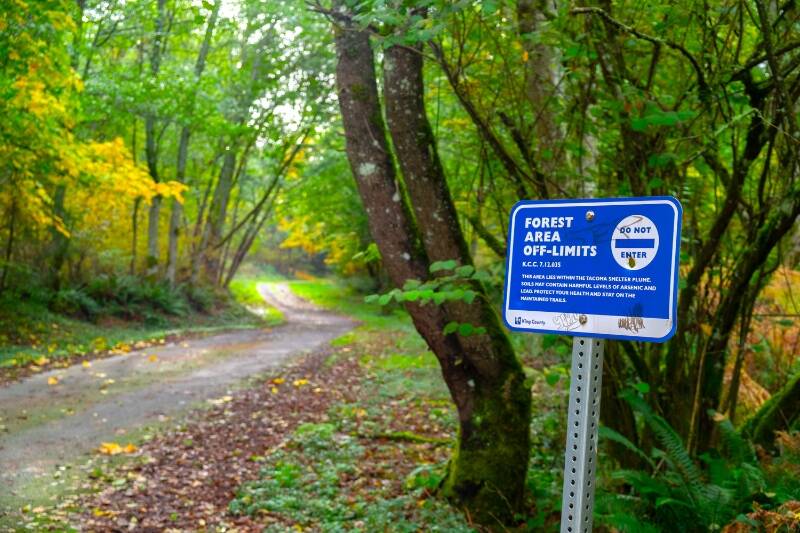 A trail sign in the Maury Island Natural Area, 2023. The sign reads: FOREST AREA OFF-LIMITS. THIS AREA LIES WITHIN THE TACOMA SMELTER PLUME. SOILS MAY CONTAIN HARMFUL LEVELS OF ARSENIC AND LEAD. PROTECT YOUR HEALTH AND STAY ON THE MAINTAINED TRAIL (Photo by Terry Donnelly).