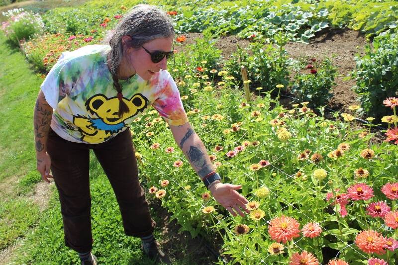 Farm coordinator Colie Southerland shows the many kinds of flowers growing at Matsuda Farm. (Alex Bruell Photo).