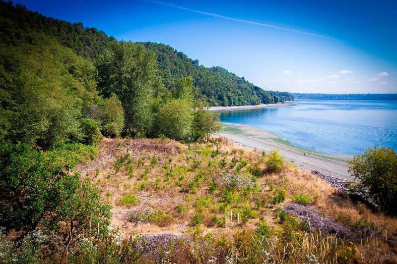 King County is roughly halfway done completing a decade-long cleanup project at the Maury Island Natural Area (File Photo).