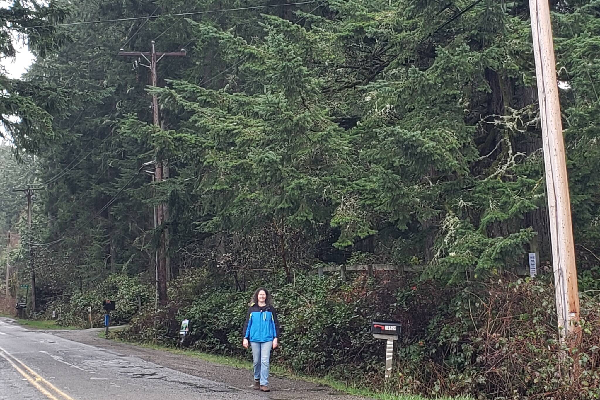 Islander Jenny Bell stands in front of her property on a drizzly day, next to Puget Sound Energy power poles and trees which she fears are at risk were she to sign a PSE easement. Photo by Leslie Brown.