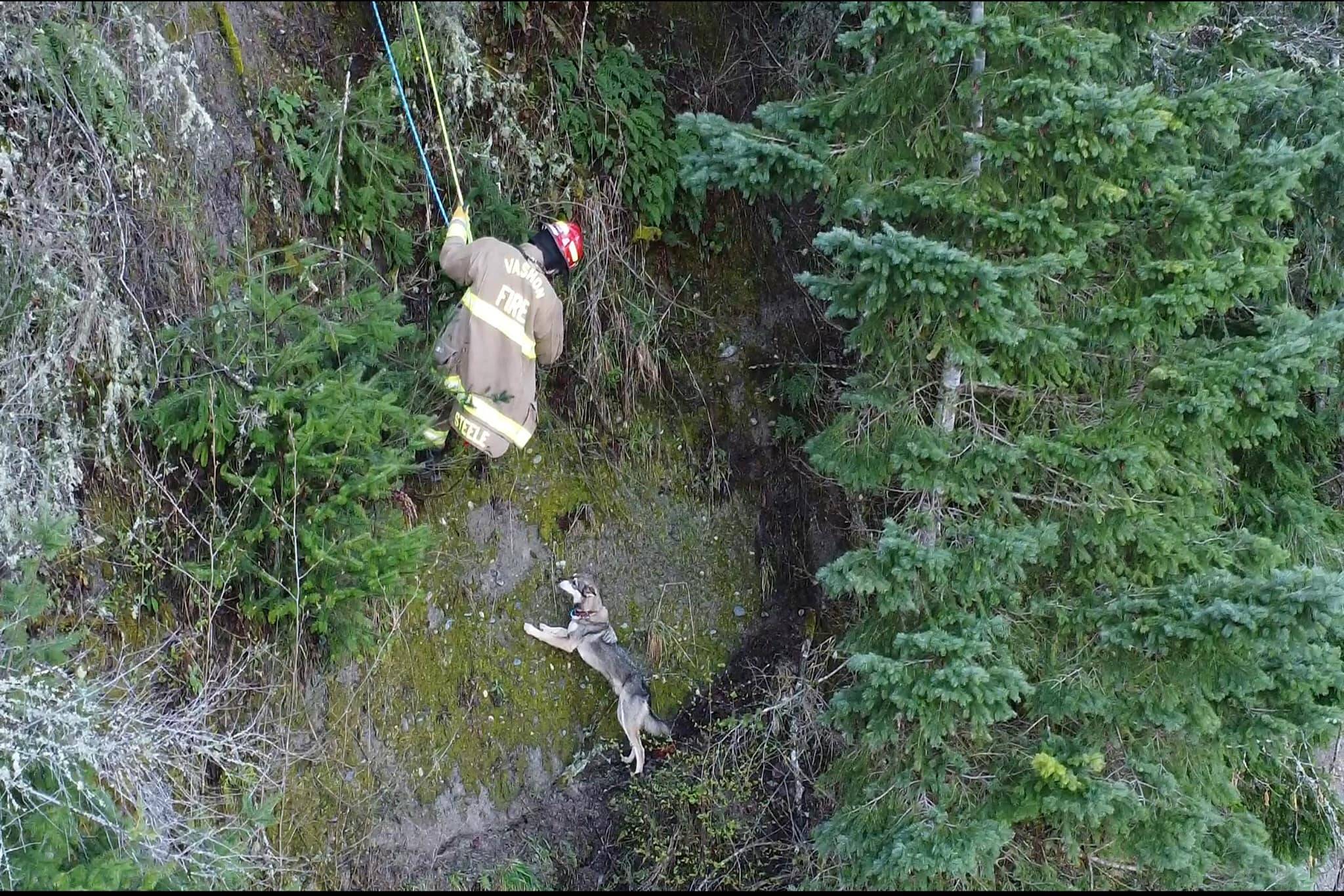 Photo courtesy Vashon Island Fire and Rescue Lieutenant Ben Steele rappels down a cliff at KVI beach to rescue Kirby, who was stranded on a thin strip of plateau.