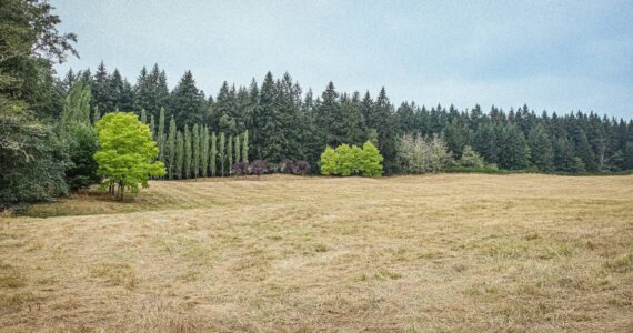 King County Parks photo
Wax Orchard consists of 110 acres near the center of Vashon Island.
