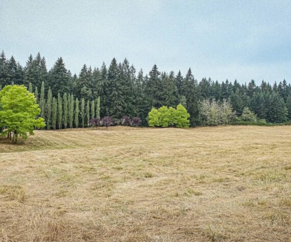 <p>King County Parks photo</p>
                                <p>Wax Orchard consists of 110 acres near the center of Vashon Island.</p>