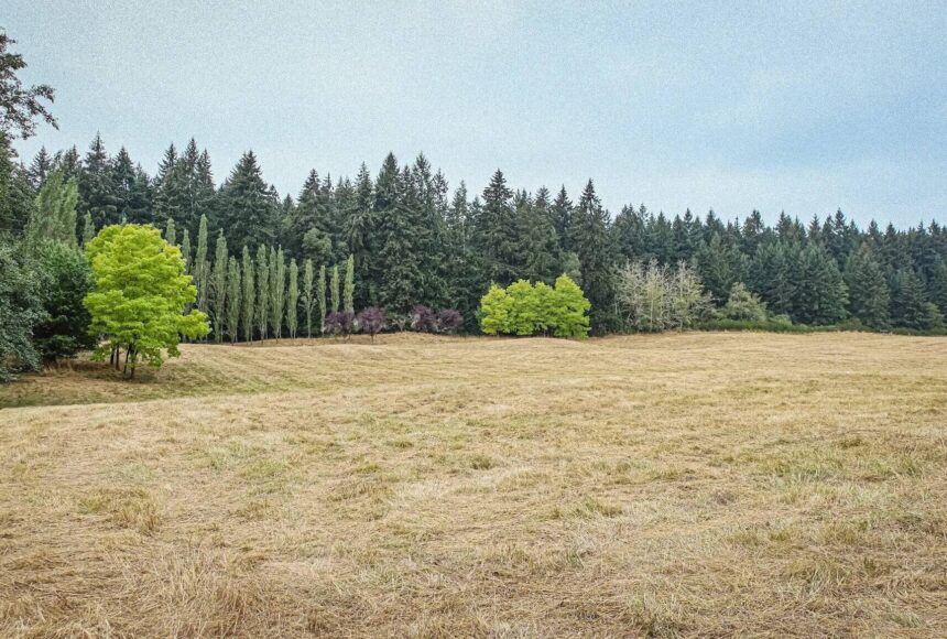 <p>King County Parks photo</p>
                                <p>Wax Orchard consists of 110 acres near the center of Vashon Island.</p>