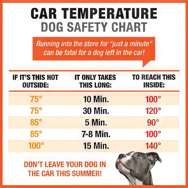 If you doubt these numbers, do your own test by getting into your car on a pleasant sunny day. Take a thermometer with you. See how uncomfortable it gets in just a few minutes as the sun shines into your car’s enclosed space (Courtesy Graphic).