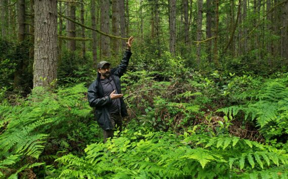 Paul Fischer, in a portion of the forest near the Mukai Pond parking lot, describes some of the actions loggers will be expected to take to minimize impact. Trees will be bucked and delimbed in place, for instance, to lessen the impact on the understory (Leslie Brown Photo).