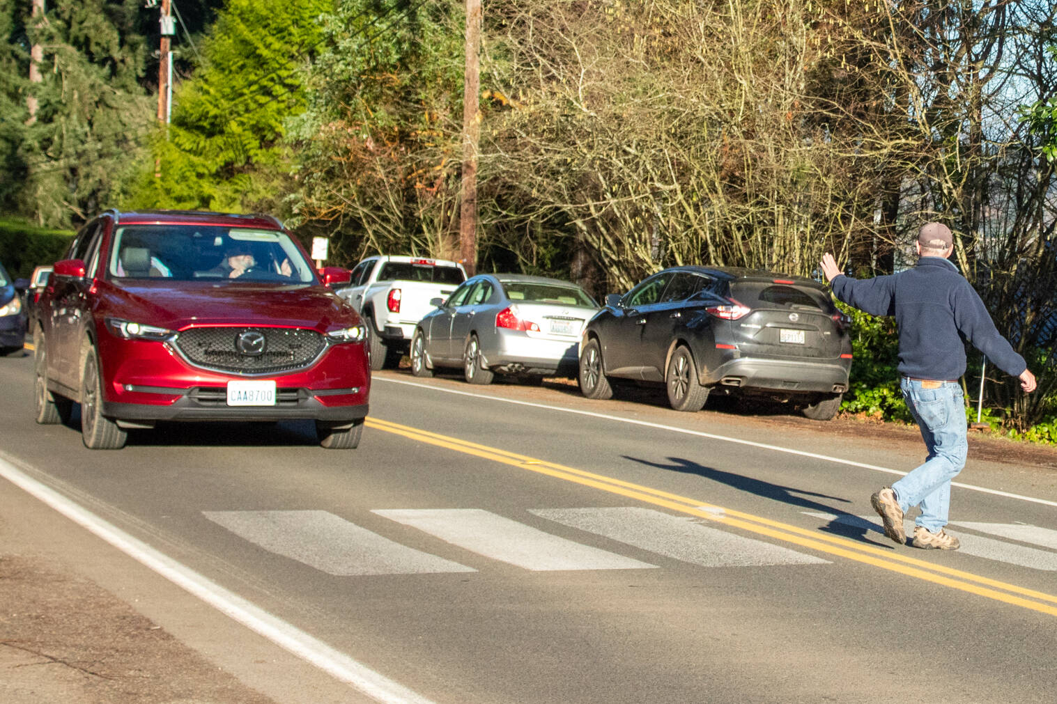 A driver stops for yacht club member and Vashon resident Charlie Backus as he crosses Vashon Highway toward the Quartermaster Yacht Club along the unauthorized crosswalk. Regardless of what happens to the crosswalk, I think (motorists) ought to slow down anyway, Backus said. (Alex Bruell photo)