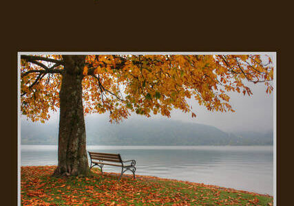 A book launch of "Grief Age Love: Poems for the Autumn Years," will take place on Sept. 10, at VCA. (Courtesy Photo)