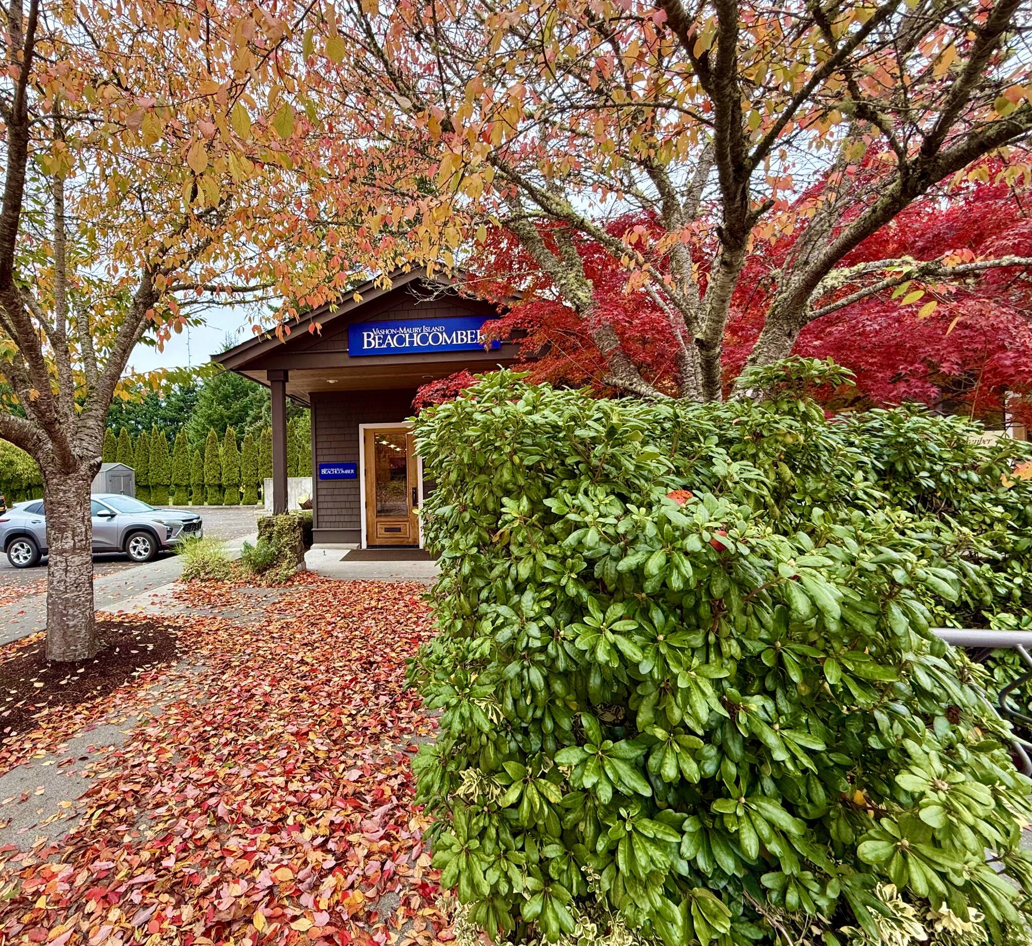 The Beachcomber office is lined with a path of fallen leaves on Tuesday, Oct. 28. (Aspen Anderson Photo)