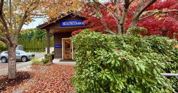 The Beachcomber office is lined with a path of fallen leaves on Tuesday, Oct. 28. (Aspen Anderson Photo)