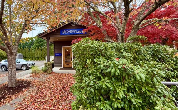 The Beachcomber office is lined with a path of fallen leaves on Tuesday, Oct. 28. (Aspen Anderson Photo)