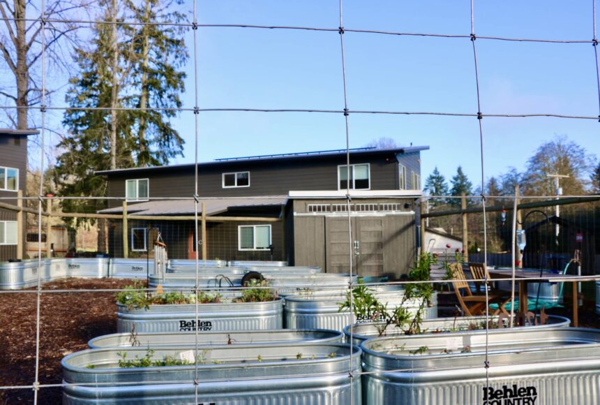 <p>Aspen Anderson Photo</p>
                                <p>This community garden, located centrally in Island Center Homes, is one of several shared spaces at the housing development.</p>