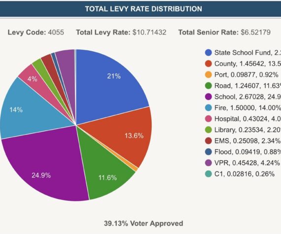 <p>King County Graphic</p>
                                <p>A King County Assessor pie chart shows where islanders&rsquo; property tax dollars are going this year.</p>