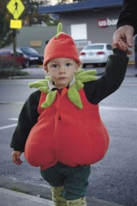 This pumpkin got into the holiday spirit