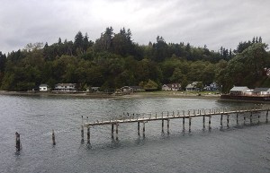 Cormorants and other birds perch on the crumbling remains of the old pier at Tahlequah.