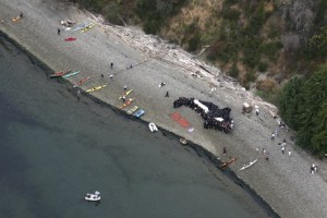 Islanders and other Puget Sound supporters joined together to create a human mural of an orca whale on Saturday.