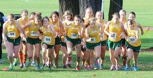 The Vashon High School women's cross-country team starts the league finals race Saturday at Fort Steilacoom.