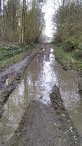 Condition of the 103rd Avenue right-of-way through the wetter months.
