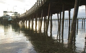 A special slide show presentation of photographs taken by chorale members will illustrate the music during Sunday's concert.