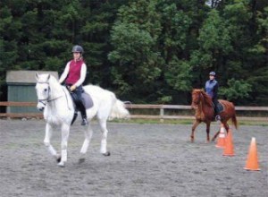 Suzanne Beaudoin rides her white gelding Guiseppi as Carol Friend on her filly Ellie follow. The two are riding in the fenced arena that will be covered once designs are approved.